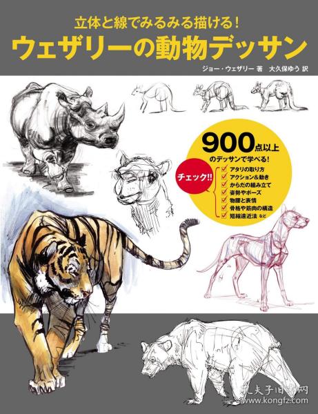 艺术 日文书 外文原版 孔夫子旧书网