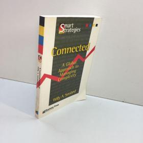 connected a global approach  tomanaging complexity  英文原版