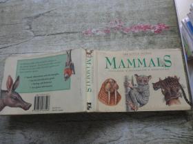 MANMALS （THE LITTLE GUIDES）