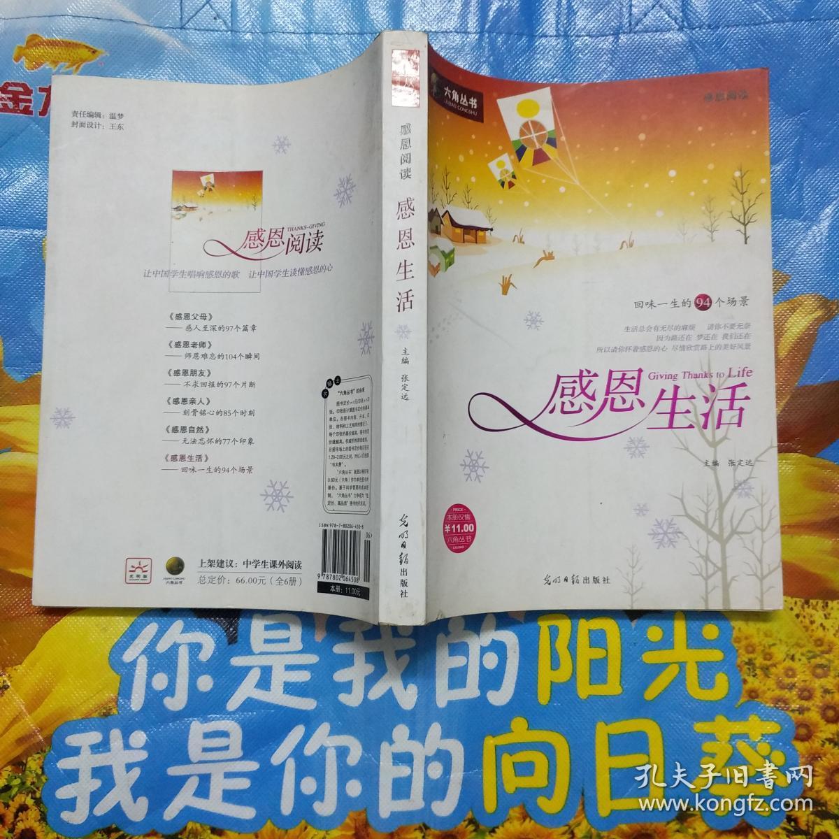 六角丛书: 感恩生活