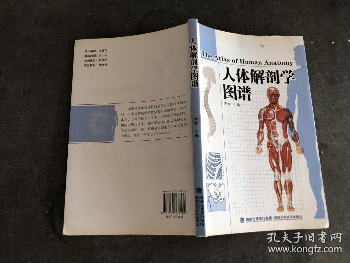 人体解剖学完全图谱-千图网