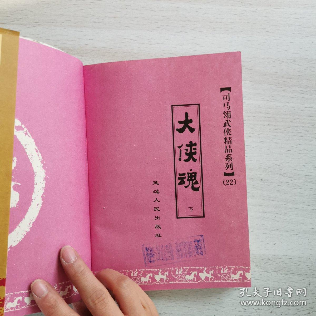 大侠魂（下册）