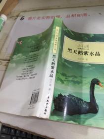 黑天鹅紫水晶：沈石溪激情动物小说   书脊破损  书本变形  平装