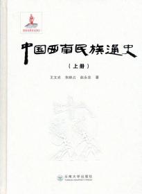 《中国西南民族通史：全三册》