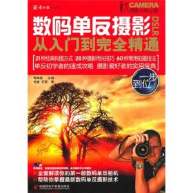 数码单反摄影从入门到完全精通 任丽王凯 电脑报电子音像出版社 9787894764416