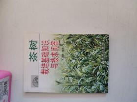 正版库存一手 茶树栽培基础知识与技术 王国 金盾出版社 9787508239675