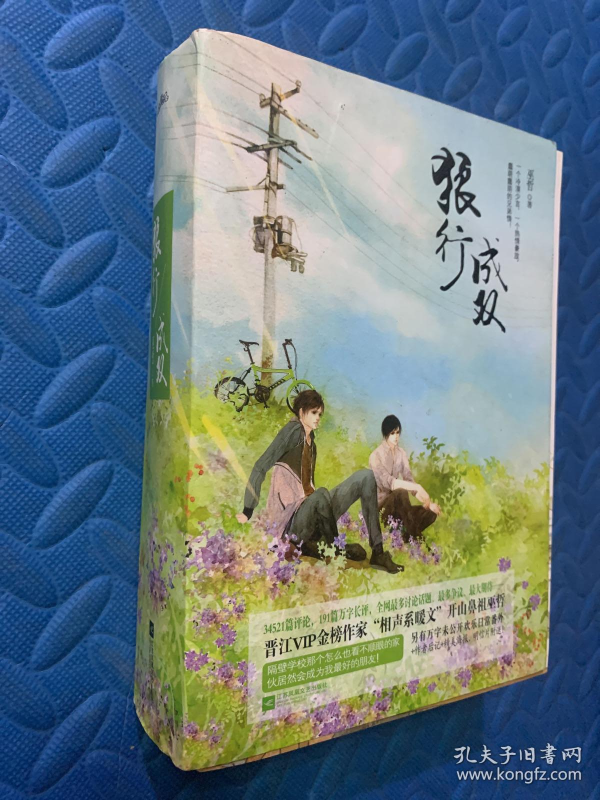 狼行成双上中下