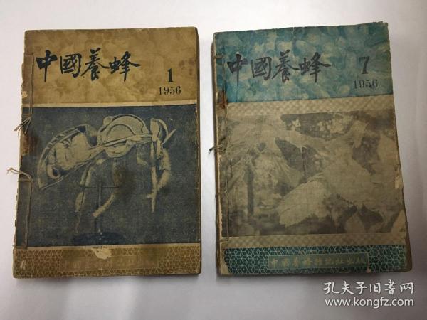养蜂杂志网上订购 养蜂杂志网上订购可靠吗