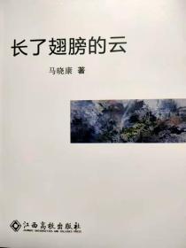 长了翅膀的云
