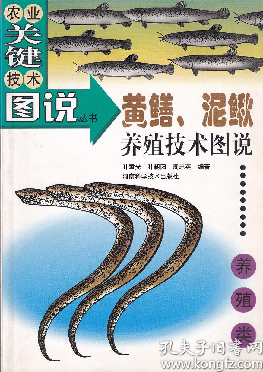 黄鳝 泥鳅养殖技术图说