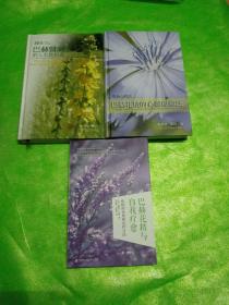巴赫花精與自我療愈：疾病的本質和治療方法