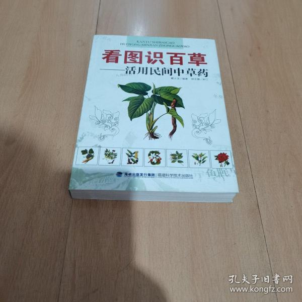 看图识百草:活用民间中草药