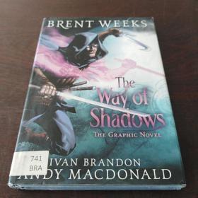 The Way of Shadows: The Graphic Novel (Night Angel Book 1)（英文 原版）