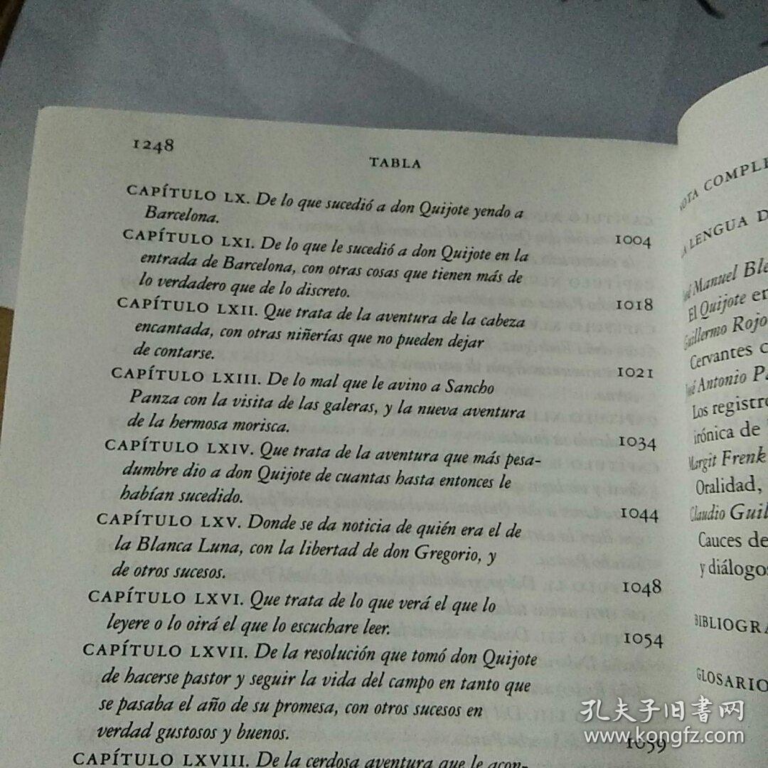 堂吉诃德西班牙文