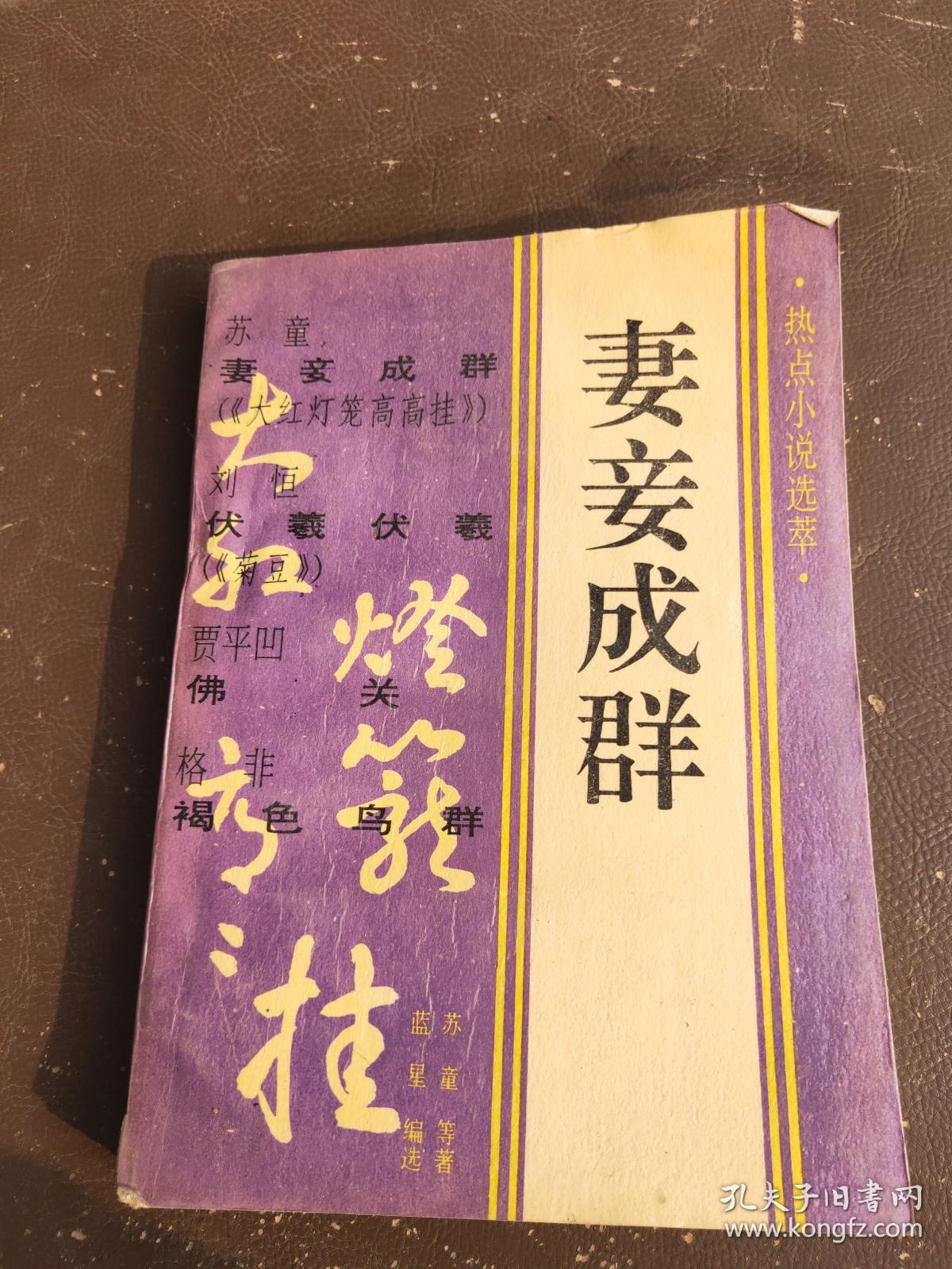 妻妾成群:热点小说选萃