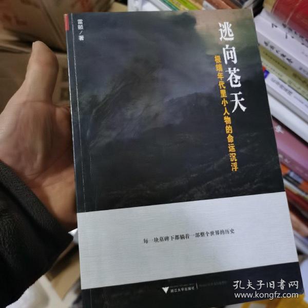 逃向苍天:极端年代里小人物的命运沉浮