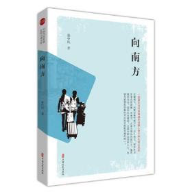 向南方(实力榜·中国当代作家长篇小说文库)