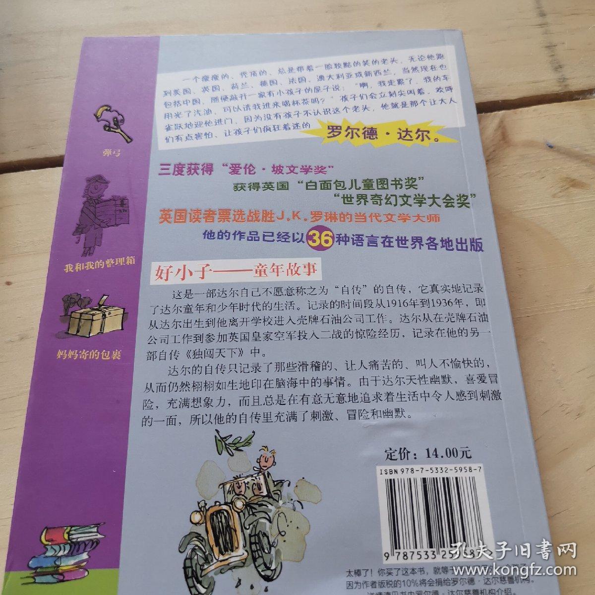 好小子-童年故事:罗尔德·达尔作品典藏