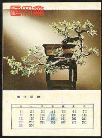 1984年4月份【曲径通幽】苍松翠柏树木盆景图，月历卡片，如图