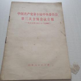 中国共产党第十届中央委员会第三次会议公报