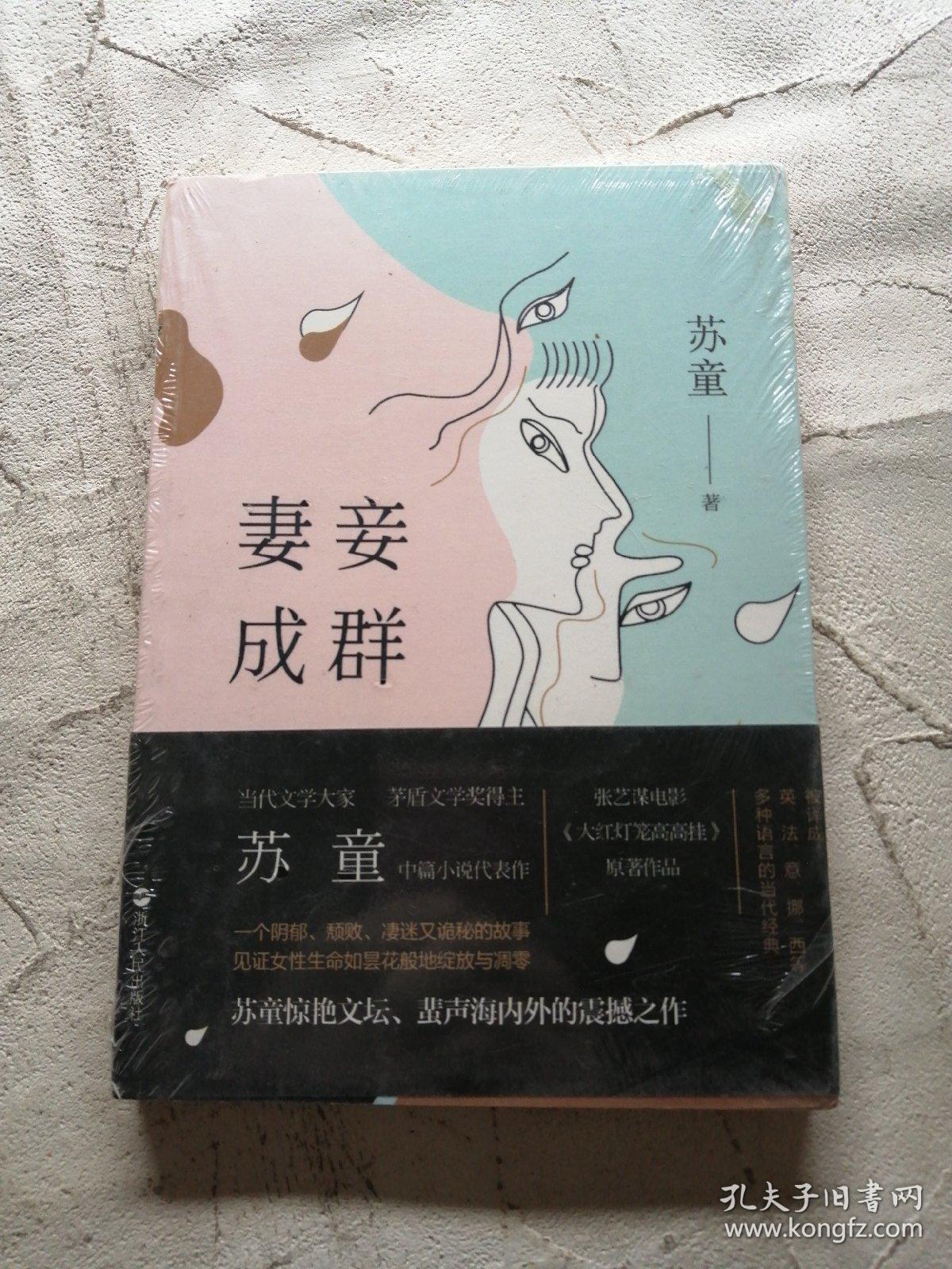 妻妾成群(精装典藏版)