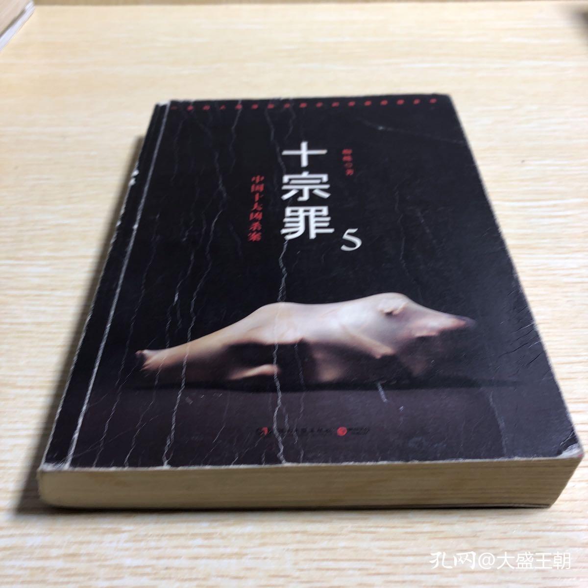 十宗罪5:中国十大凶杀案