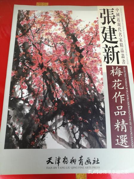 张建新梅花 画集 张建新作品精选  中国 近现代 名家精品丛书