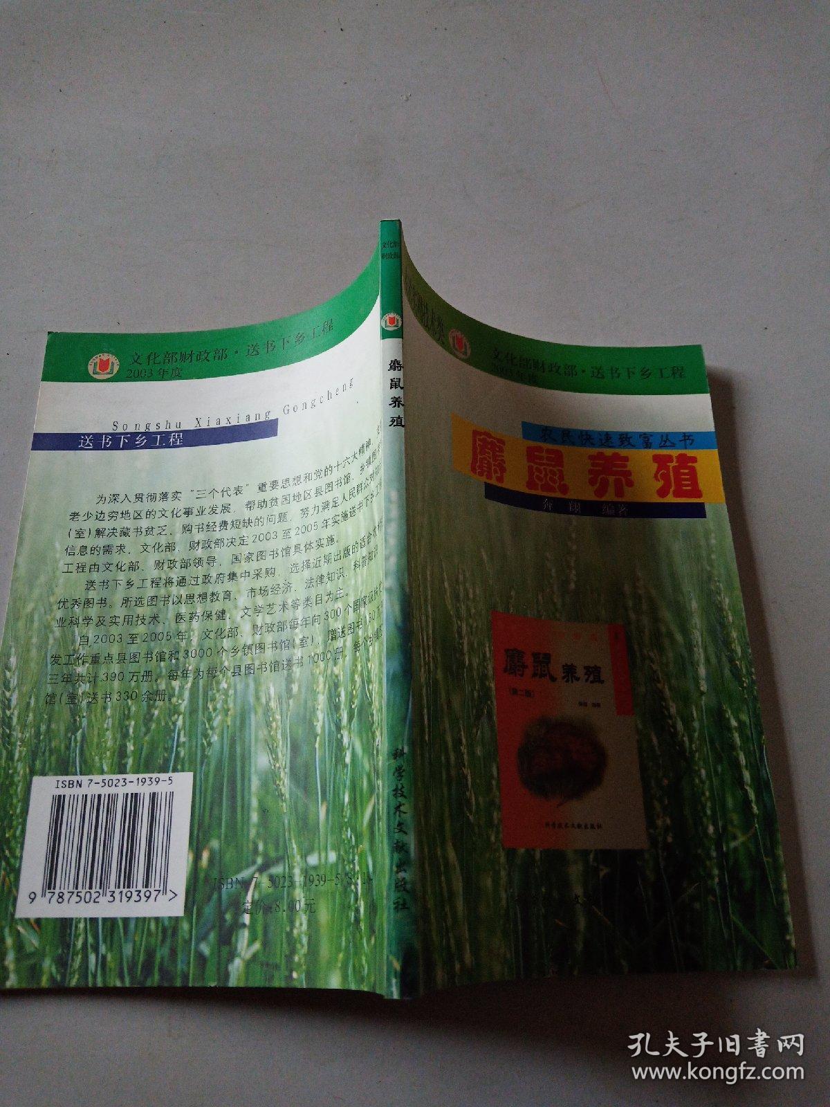 养殖麝香鼠致富人(麝香鼠养殖有利润吗)