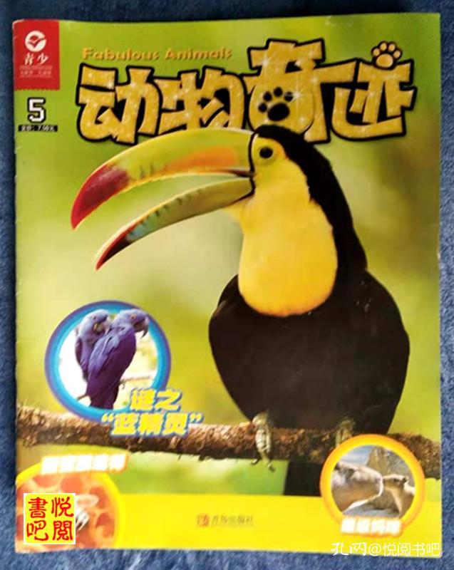 J08 动物奇迹 第五册 孔夫子旧书网 J08 动物奇迹 第五册 孔夫子旧书网