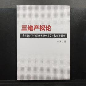 三维产权论：完善新时代中国特色社会主义产权制度研究