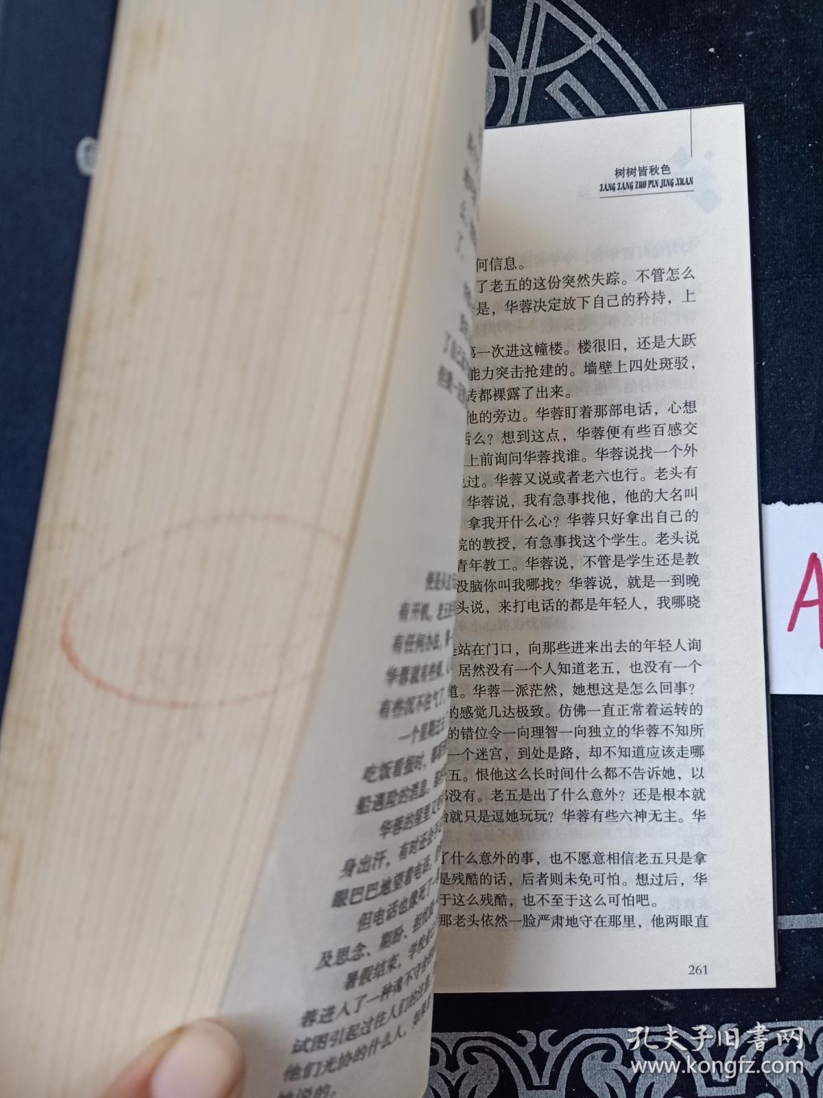 方方作品精选:跨世纪文丛精华本