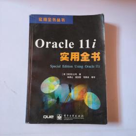 Oracle11i实用全书/实用全书丛书