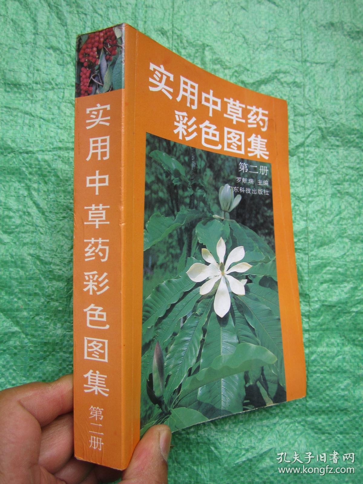 实用中草药彩色图集 第二集f