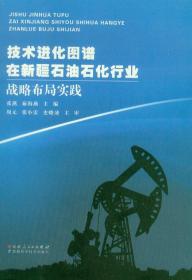 技术进化图谱 在新疆石油石化行业 战略布局实践 新疆科学技术出版社