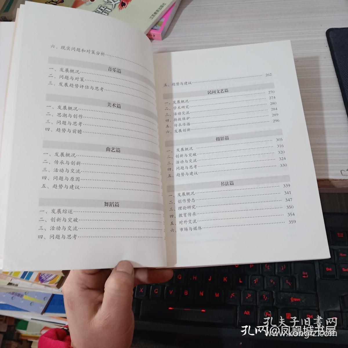 中国文学报告(中国文学发展报告)