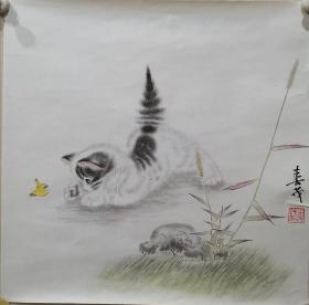 米春茂猫戏图，托芯，包手绘。