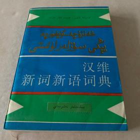 《漢維新詞新語詞典》