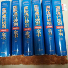 应对WTO与全球化:国际通行规则与国际惯例全书