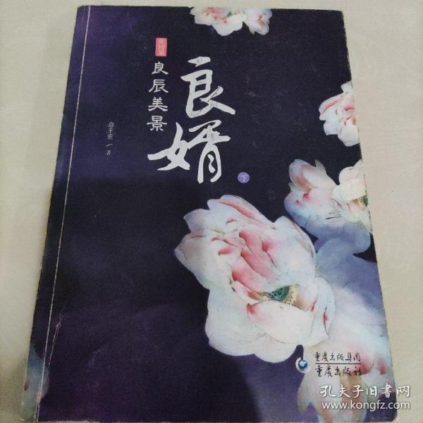 良婿2·良辰美景（上下）：完結篇