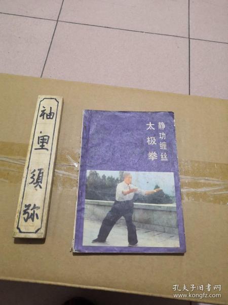 梅花桩柳叶双刀咏春拳查拳南拳螳螂拳铁布衫鹰爪功洪拳通背三皇炮捶心