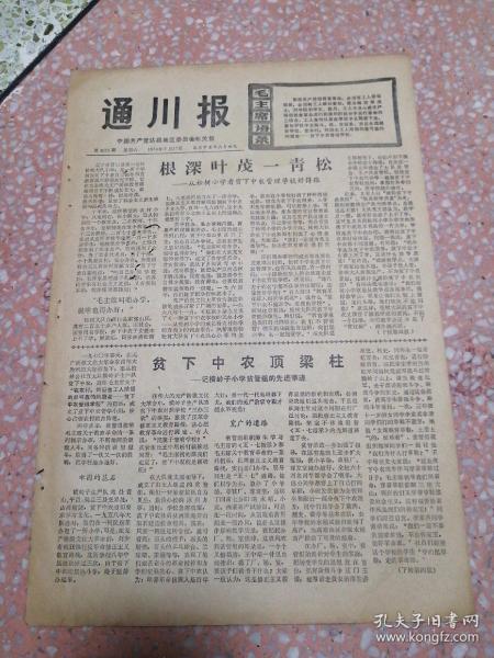 根深叶茂简谱_根深叶茂(3)