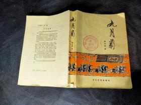 九月菊 见图