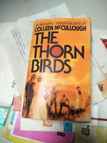 The Thorn Birds(Anniversary Edition)荆棘鸟，周年纪念版 英文原版