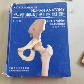 人体解剖彩色图谱
