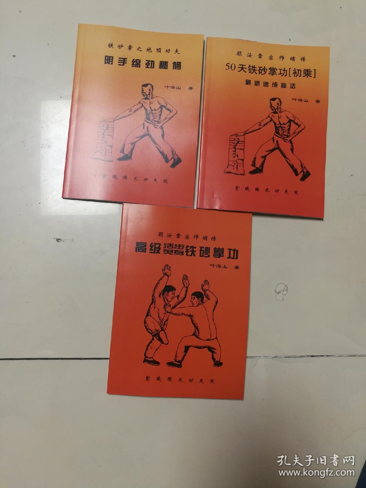 顾汝章宗师嫡传铁砂掌功三册