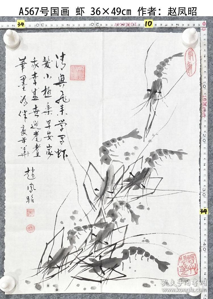 a567号国画虾3649cm作者赵凤昭男1935年生号中州野