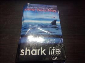 Shark Life: True Stories About Sharks & the Sea  2005年 大32开硬精装原版英法德意等外文书 图片实拍
