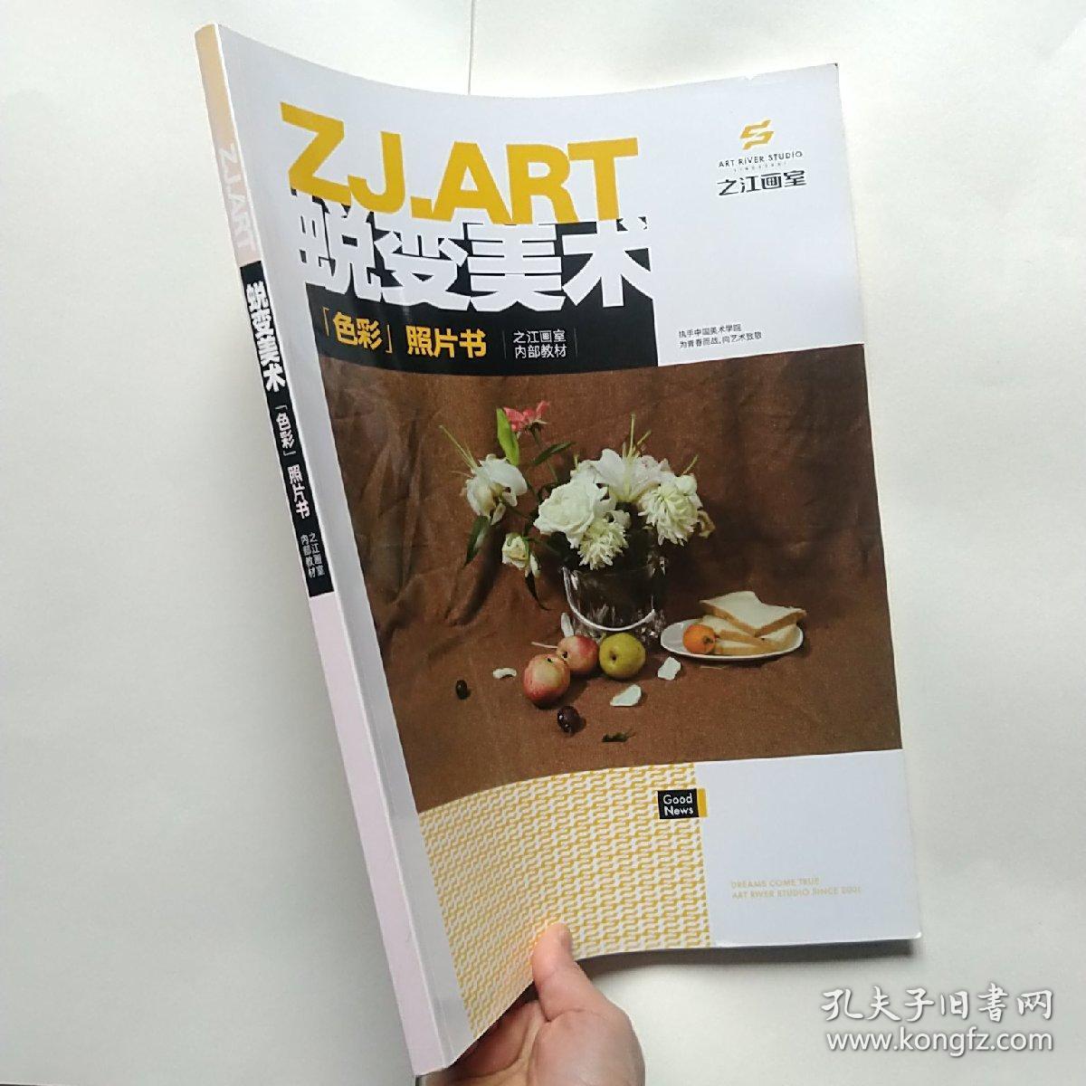 蜕变美术:色彩照片书