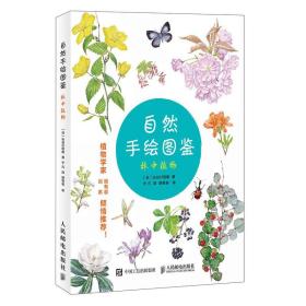 自然手绘图鉴林中植物