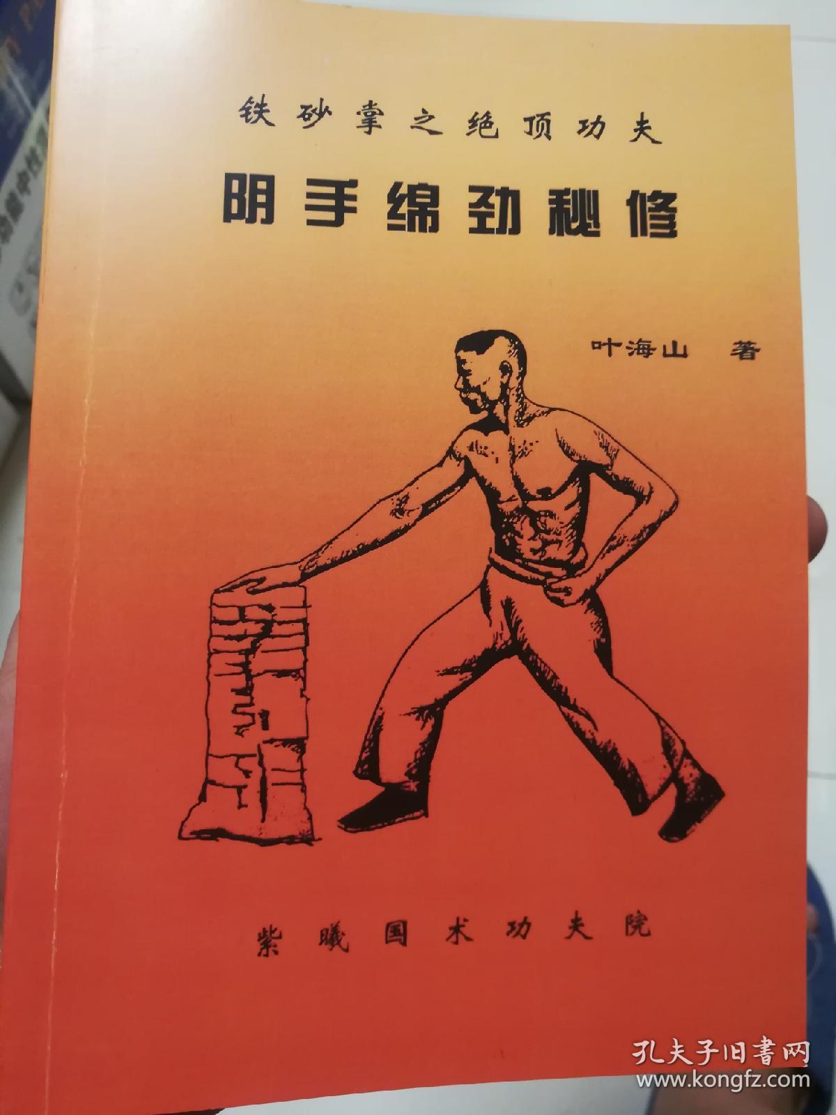 顾汝章宗师嫡传.铁砂掌功三册